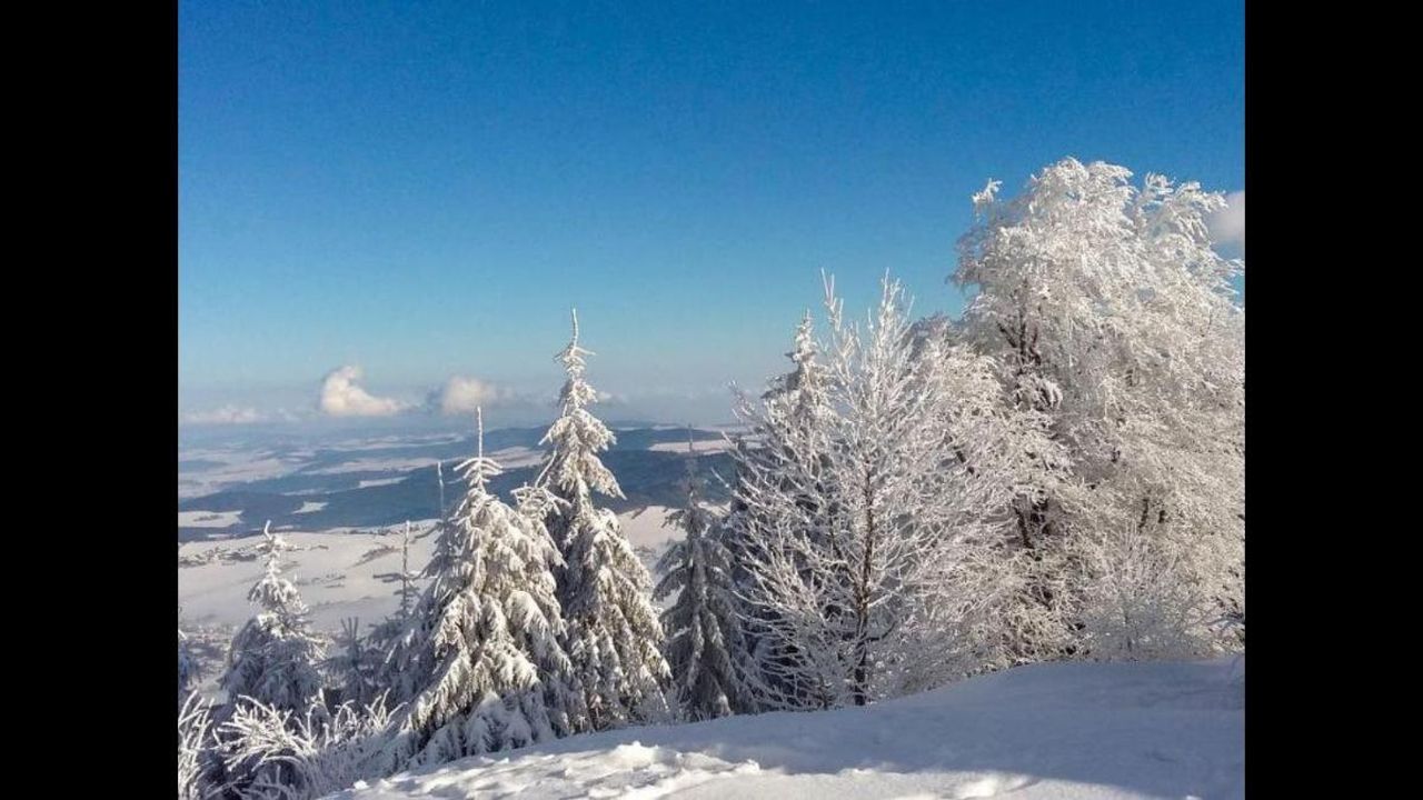 Winter Winter